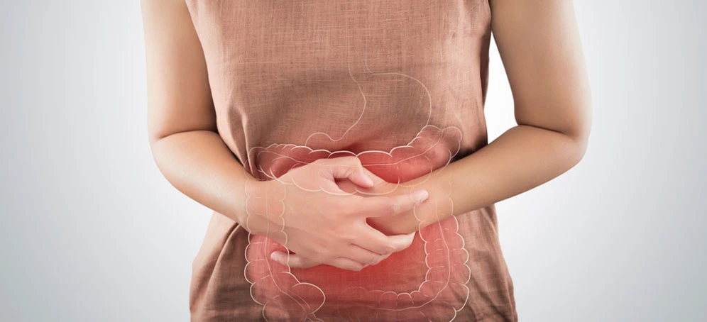 Person holding their abdomen with highlighted digestive tract indicating stomach pain